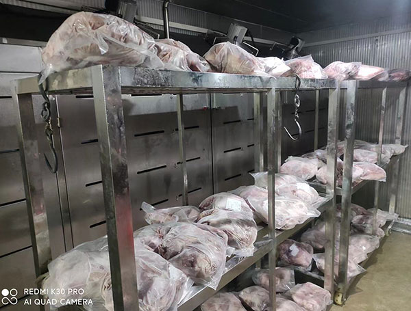 羊肉解凍機